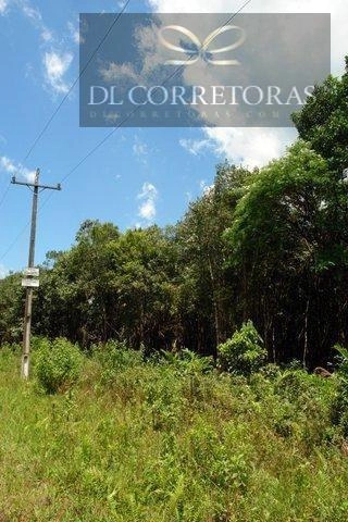 null: 6ª foto da galeria de imagens do imóvel