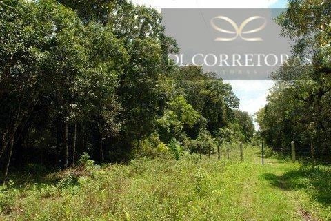 null: 7ª foto da galeria de imagens do imóvel