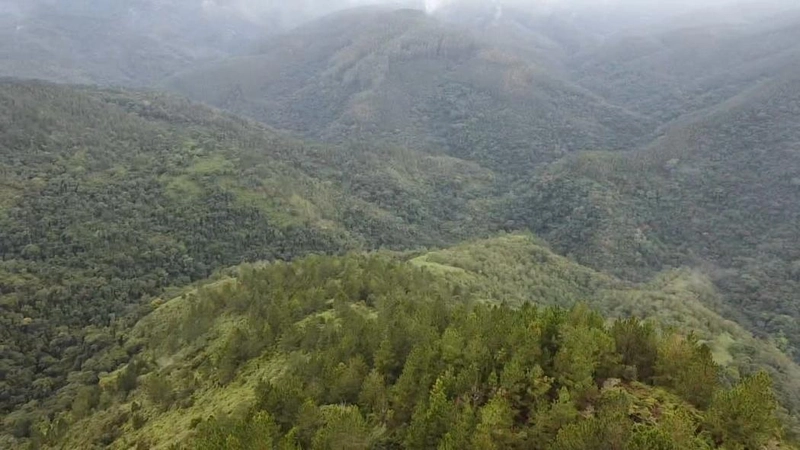 null: 11ª foto da galeria de imagens do imóvel