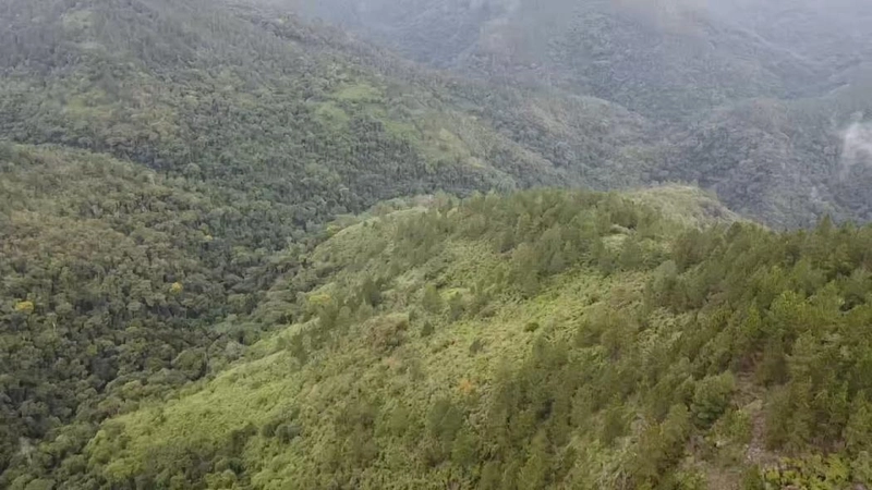 null: 13ª foto da galeria de imagens do imóvel