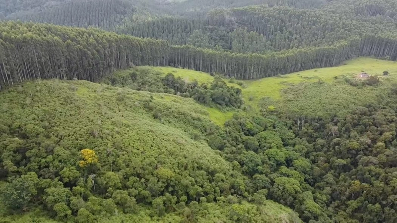 null: 15ª foto da galeria de imagens do imóvel