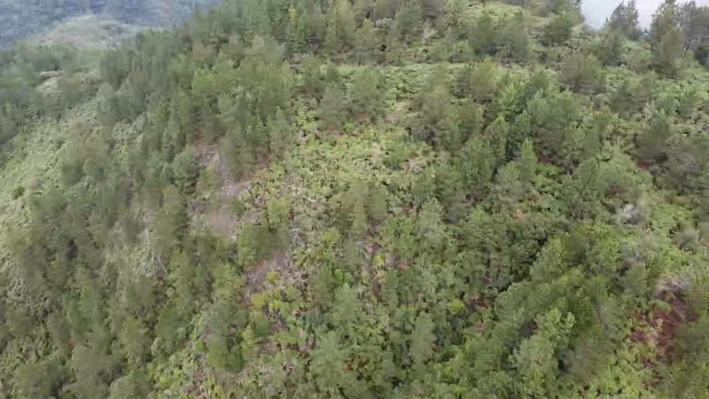 null: 19ª foto da galeria de imagens do imóvel