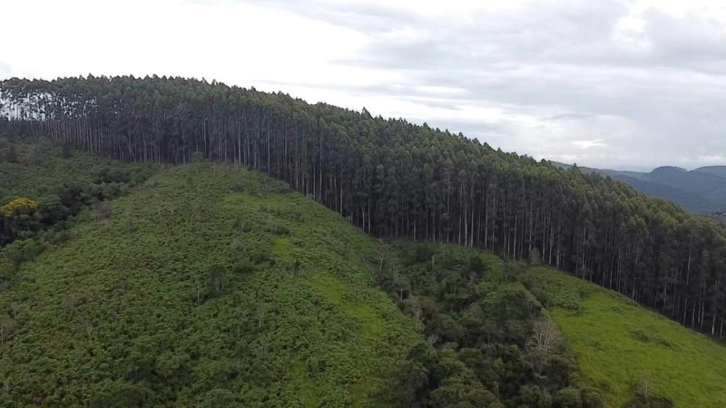 null: 20ª foto da galeria de imagens do imóvel