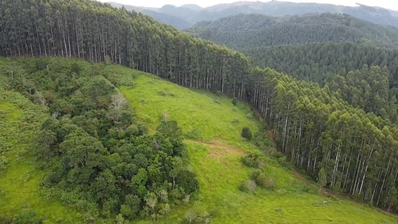 null: 22ª foto da galeria de imagens do imóvel