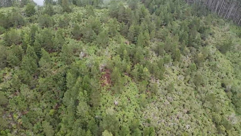 null: 24ª foto da galeria de imagens do imóvel