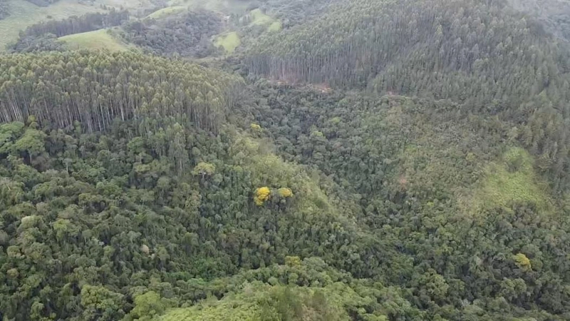 null: 26ª foto da galeria de imagens do imóvel