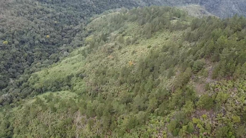 null: 27ª foto da galeria de imagens do imóvel