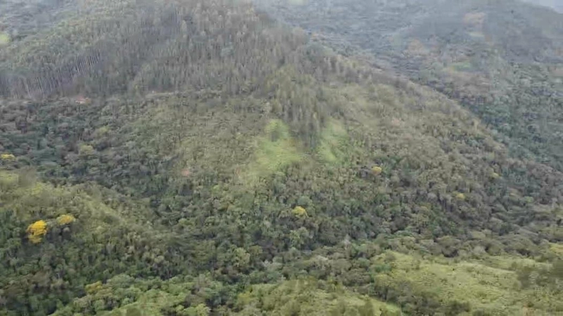 null: 29ª foto da galeria de imagens do imóvel