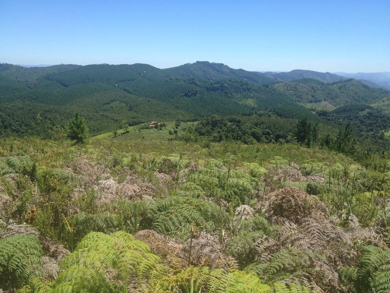 null: 6ª foto da galeria de imagens do imóvel