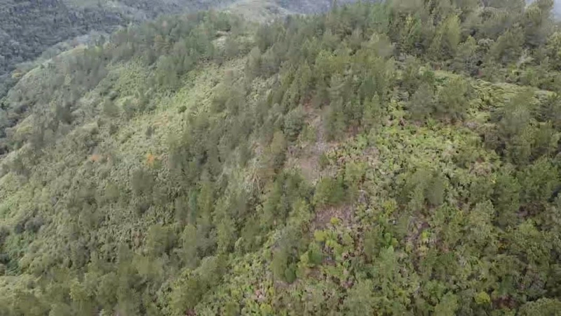 null: 7ª foto da galeria de imagens do imóvel