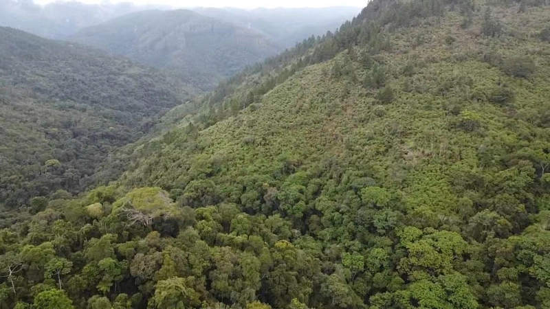 null: 8ª foto da galeria de imagens do imóvel