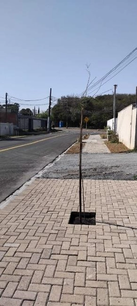 null: 16ª foto da galeria de imagens do imóvel