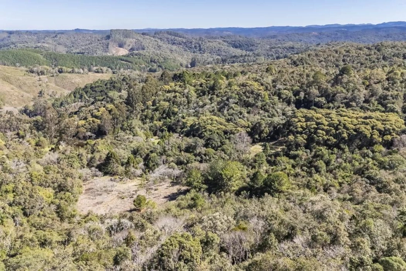 null: 30ª foto da galeria de imagens do imóvel