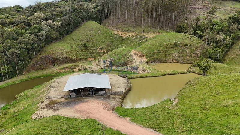 null: 7ª foto da galeria de imagens do imóvel