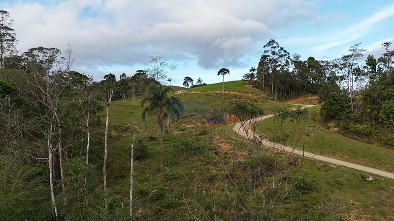 null: 33ª foto da galeria de imagens do imóvel