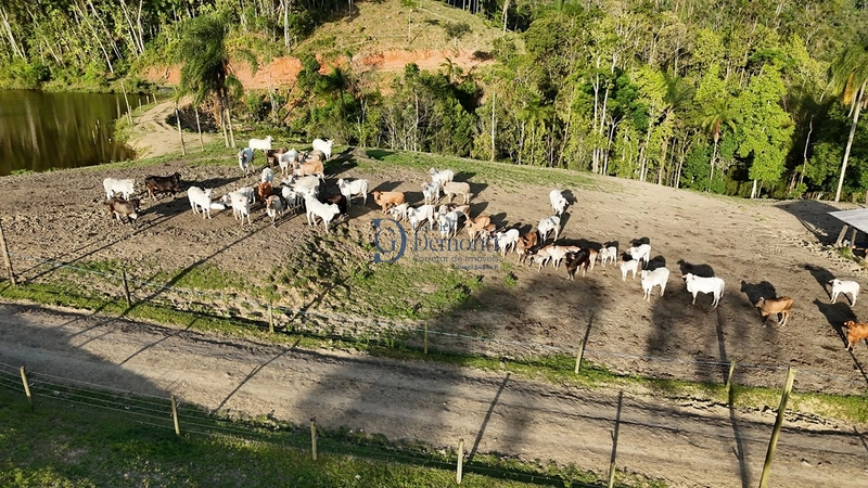null: 14ª foto da galeria de imagens do imóvel