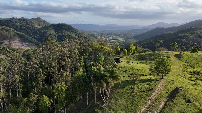 null: 28ª foto da galeria de imagens do imóvel