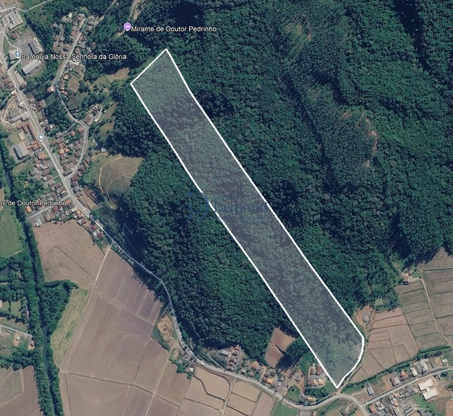 Área urbana de 16 hectares à venda em Doutor Pedrinho | Excelente potencial de investimento: 4ª foto da galeria de imagens do imóvel