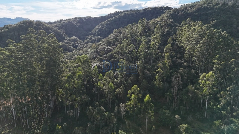 Área urbana de 16 hectares à venda em Doutor Pedrinho | Excelente potencial de investimento: 3ª foto da galeria de imagens do imóvel