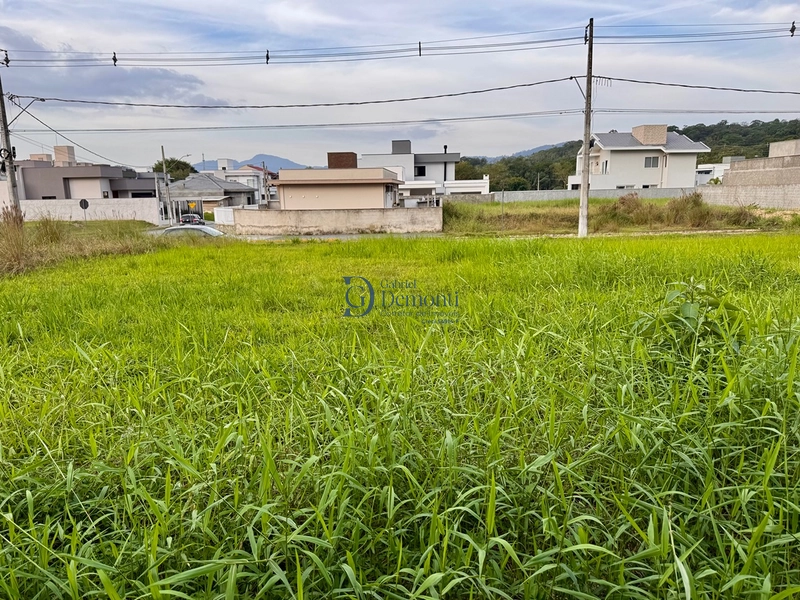 Terreno à venda em Timbó, no bairro Padre Martinho Stein, abaixo do valor de mercado.: 5ª foto da galeria de imagens do imóvel