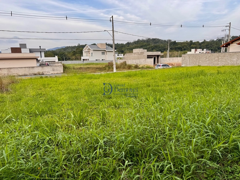 Terreno à venda em Timbó, no bairro Padre Martinho Stein, abaixo do valor de mercado.: 6ª foto da galeria de imagens do imóvel