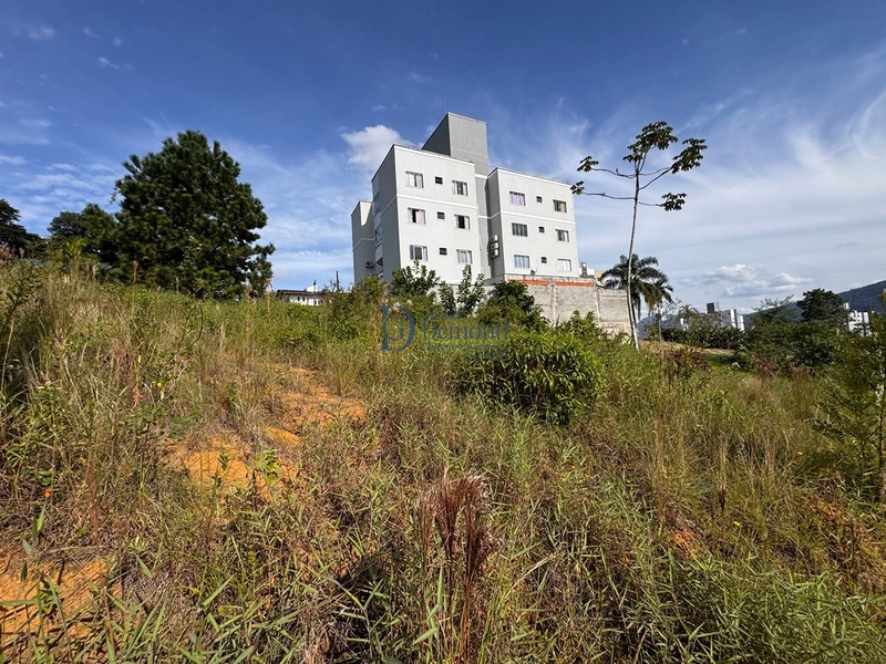 null: 4ª foto da galeria de imagens do imóvel