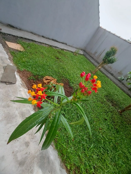 Casa térrea à venda Pastoril, Ribeirão Pires: 5ª foto da galeria de imagens do imóvel