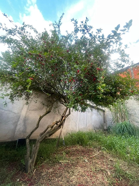 Casa assobradada à venda Jardim Miranda D''''Aviz, Mauá: 28ª foto da galeria de imagens do imóvel