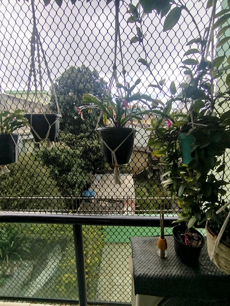 Apartamento à venda na Vila Bocaina, Mauá: 10ª foto da galeria de imagens do imóvel