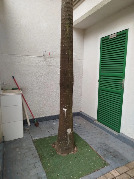 Apartamento à Venda no Parque São Vicente, Mauá: 26ª foto da galeria de imagens do imóvel