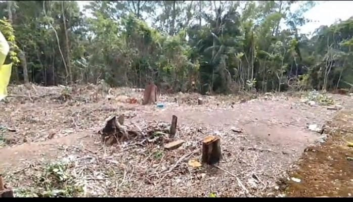Terreno à venda em Ouro Fino Paulista, Ribeirão Pires: 7ª foto da galeria de imagens do imóvel