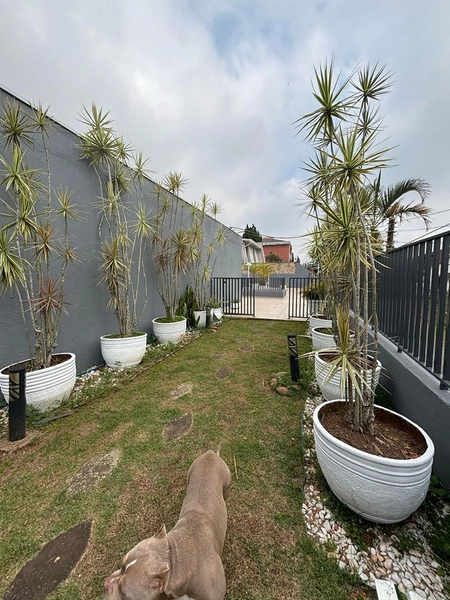 Casa térrea à venda no Jardim do Mirante, Ribeirão Pires: 23ª foto da galeria de imagens do imóvel