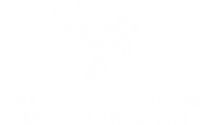 Willham Silva Corretor de Imóveis - Construa seu patrimônio, realize seu sonho em Brasília Willham Silva Corretor de Imóveis - Construa seu patrimônio, realize seu sonho em Brasília